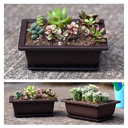 3 Pieces Rectangle Plant Pot, Plastic Bonsai Training Pots - Image 4