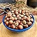 Giresun Plump In-Shell Hazelnuts, 100% Natural & Delicious, Organic, Additive-Free, Authentic Turkish Product, Geographical Indication Registered, (GİRESUN KABUKLU FINDIĞI), 1000g / 2.2 lb - PACK OF 2