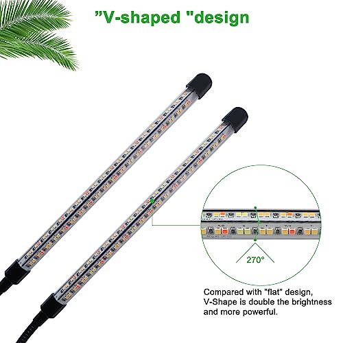 Lampada Piante LEDs 2 teste