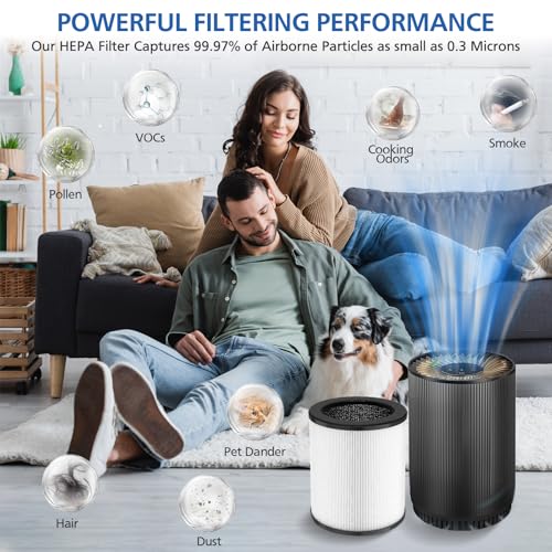 Image of KJ80 Replacement Filter Compatible with Druiap KJ80 Air Purifier, 4 Pack