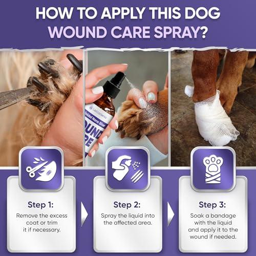 Dog Wound Care + Lavender | Wound Care for Dogs | Skin Irritation Treatment | All Breeds Itch Spray | Lavender Spray | Pet Cone | 4 Oz