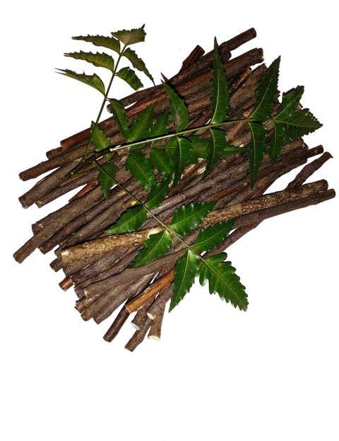 Neem Healthy Stick Organic Neem Dental Twig for Natural Teeth Cleaning Routine, 6-8 Inch (20 Healthy Stick)-image-49