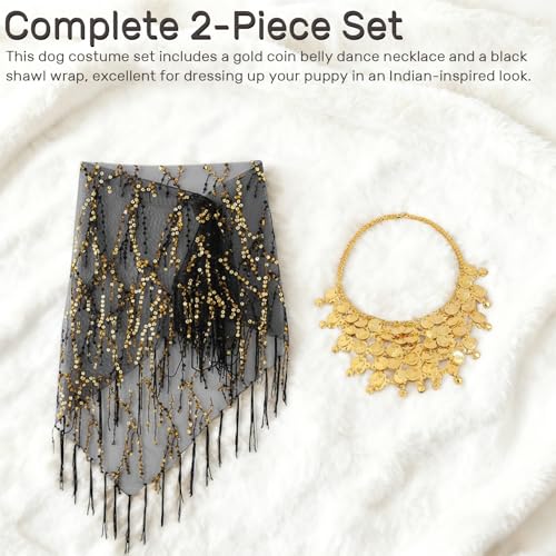 Disfraz para perro 2 piezas con collar dorado y chal negro miniatura 4