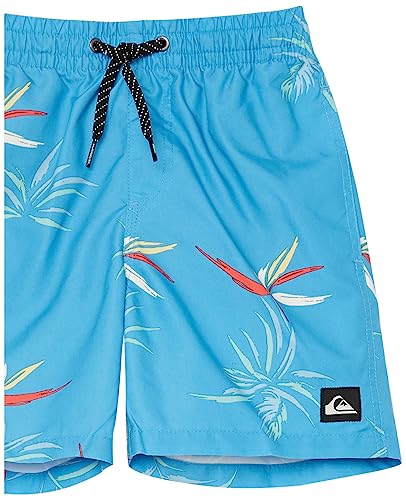 Quiksilver Boys Everyday Mix 12 Volley Boardshort Swim Trunk3