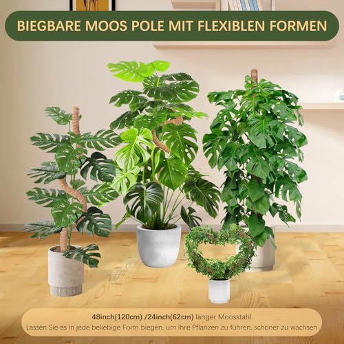 Pflanzstab Monstera Rankhilfe Moosstab - 2pcs 62cm&120cm Biegbar Plant Support Rankhilfe Zimmerpflanzen Moss Pole Kokosstab Monstera Stab Pflanzenstab Für Pflanzen Efeutute Pflanze Plant Flower Stick
