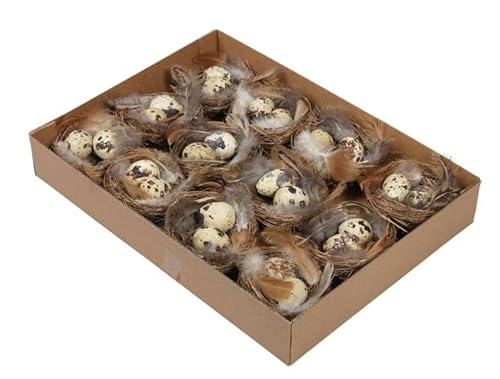 12 STK Wachteleier Nester Vogelnest mit Wachteleier Natur ausgeblasen Naturdeko Landhaus Osterschmuck Basteln Kindergarten Ostern 7cm Deko Nest Eier Wachteln Dekoeier Osterdeko Cover