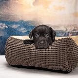 JOEJOY Hundebett Mittelgroße Hunde, Hundekorb Waschbar Flauschig, rutschfeste Plüsch Hundebetten, 63x53x20cm, Hundekörbchen für Kleine und Mittlere Hunde und Katzen