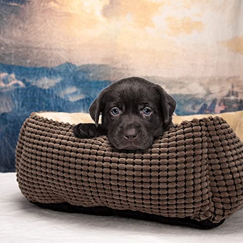 JOEJOY Hundebett Mittelgroße Hunde, Hundekorb Waschbar Flauschig, rutschfeste Plüsch Hundebetten, 76x61x23cm, Hundekörbchen für Mittelgroße und Große Katzen und Hunde