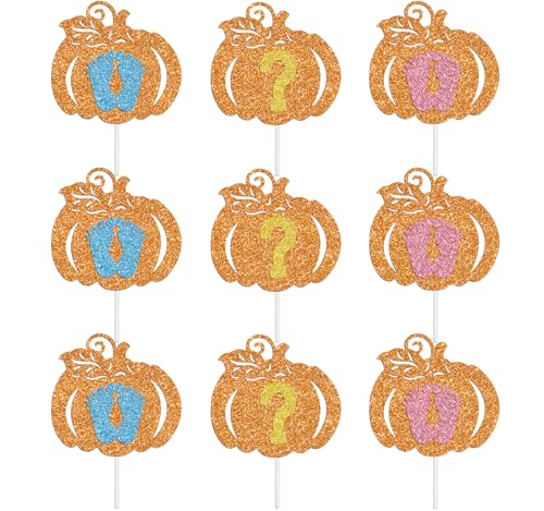 24Pcs Pumpkin Boy or Girl Cupcake Toppers, He or She, Welcome Baby Boys Girls, Fall Halloween Theme Baby Shower Birthday Gender Reveal Party Decorations Supplies for Kids