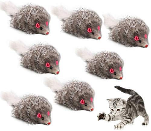 Dorakitten Lot de 7 jouets interactifs Cover