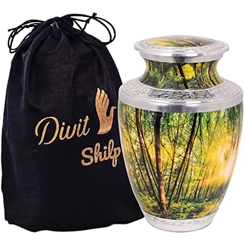 Divit Shilp Urna de cremación para cenizas humanas con bolsa de terciopelo Cover