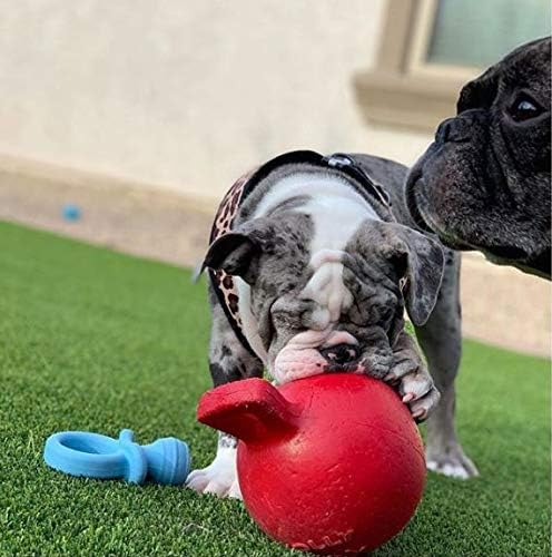 Jolly Pets Tug-n-Toss Dog Toy, 15 cm, Red, 6 Inches/Medium - Image 4