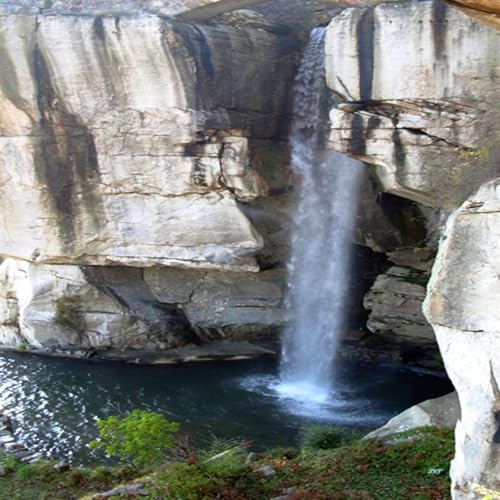 SUPERSEDE: It's What We Do! cover art