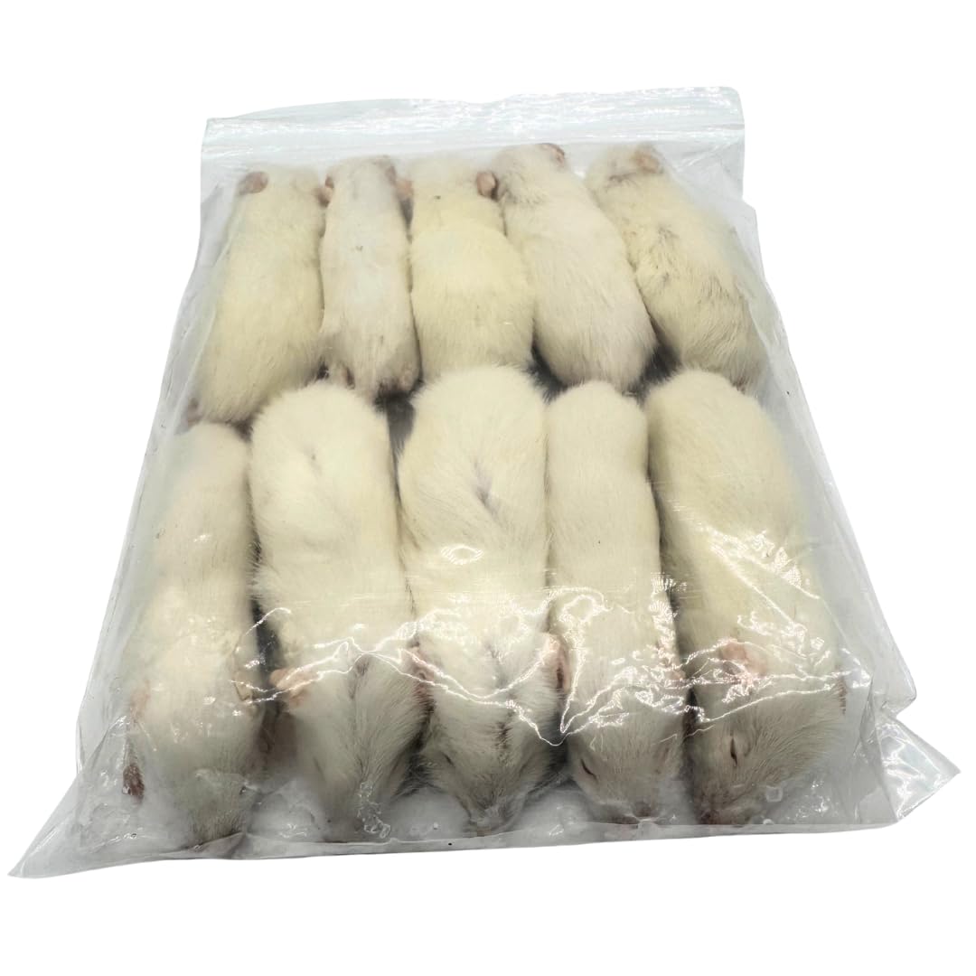 Amazon | 冷凍 ラット アダルト SSS 30サイズ(30g ~ 40g × 10匹セット