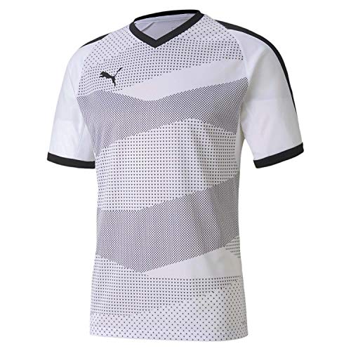 Price comparison product image PUMA teamFINAL Indoor Jersey