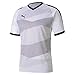 Price comparison product image PUMA teamFINAL Indoor Jersey