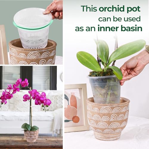 T4U Orchid Pots, 5.5 Inch 6 Pack Nursery Pots with Holes and Saucers, Slotted Plastic Planter for Repotting, Indoor Outdoor Decor for Mature Phalaenopsis and Cattleya by T4u - Image 9