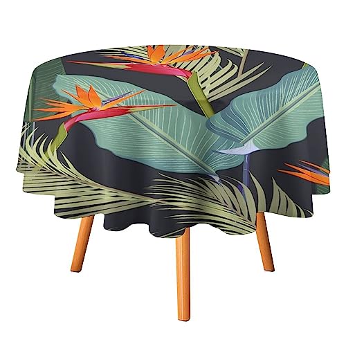MoBlinko Bird of Paradise Table Cloth Round Bird of Paradise Reusable Tablecloth 50 inch Waterproof Outdoor Tablecloth Table Cover for Kitchen Party Picnic Dining Decor