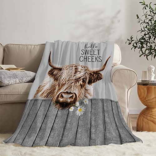 Highland Cow Blanket Cute Farmhouse Cow Print Plush Throw Blankets Soft Cozy Fleece Warm Farm Animal Bedding Blanket Gifts For Girls Kids Couch Travel 50"X60" #TOP19
