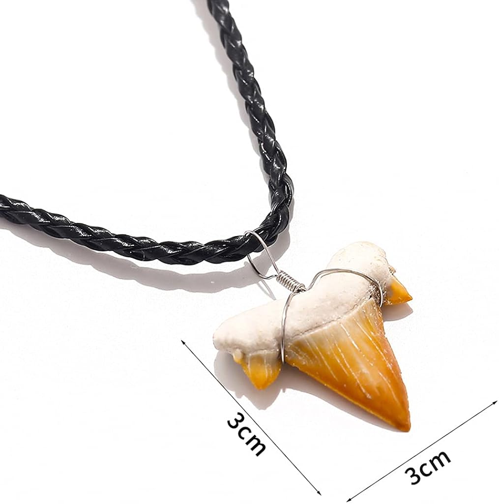 Fossilized Shark Tooth Necklace, Morocco Authentic Fossilized Prehistoric Shark Teeth on 20" Inch Braided Leather Cord, Hawaiian Beach Surfer Pendant, Great Gift for Men and Boys (#1- approx 2.5cm): Clothing, Shoes & Jewelry