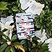 Thread Wallets - Slim Minimalist Wallet - Front Pocket Credit Card Holder (Fine Line)