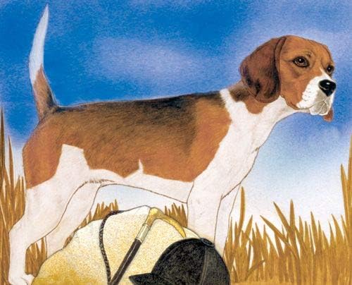 Beagle Blank Note Cards Boxed