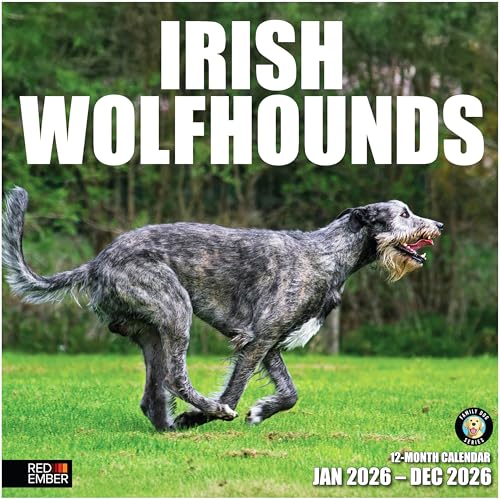 Image of RED EMBER Irish Wolfhounds 2026 Wall Calendar 12 Month | 12 inch x 24 inch Open | Thick & Sturdy Paper | Giftable | Cute Puppy Dog Calendar 2026