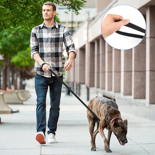 Schleppleine 10m für Hunde,Lange Hundeleine für Training und Outdoor,Ausbildungsleine für Kleine bis Große Hunde,Robuste Nylon Hundeleine mit Handschlaufe und D-Karabiner (Schwarz)