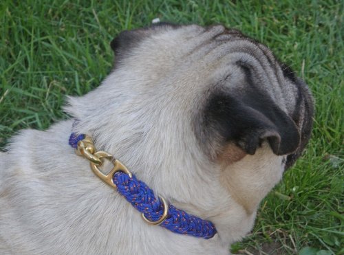 DOGS and MORE - Handgefertigtes Flechtwerk Halsband mit BESONDEREM Verschluss in Blau; Halsumfang ca. 56 cm