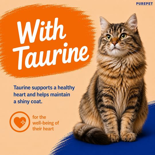 Purepet Creamy Lickable Cat Treats 360g (15g x 24) | Real Chicken | High Protein | Taurine for Heart & Vision | Supports Hydration | Ideal for Training | for Kittens & Adult Cats 3