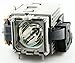 Produktbild MicroLamp Projector Lamp for Infocus 250 Watt, 2000 Hours, ML11284 (250 Watt, 2000 Hours LP650, LS5700, LS7200, LS7205, LS7210, SP5700, SP7200, SP7205, SP7210)