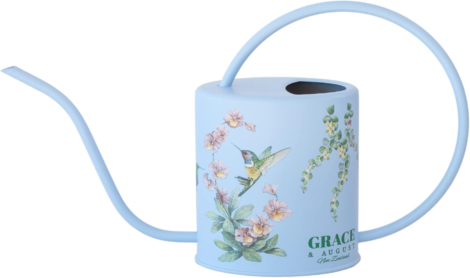 Watering Can for Indoor Plants House Plant Watering can