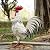 TERESA'S COLLECTIONS Garden Decor, White Rooster Garden Decor, Waterproof Metal Garden Statue, 17.5", Rooster Gifts, Garden Gifts for Women Mom Dad, Indoor/Outdoor