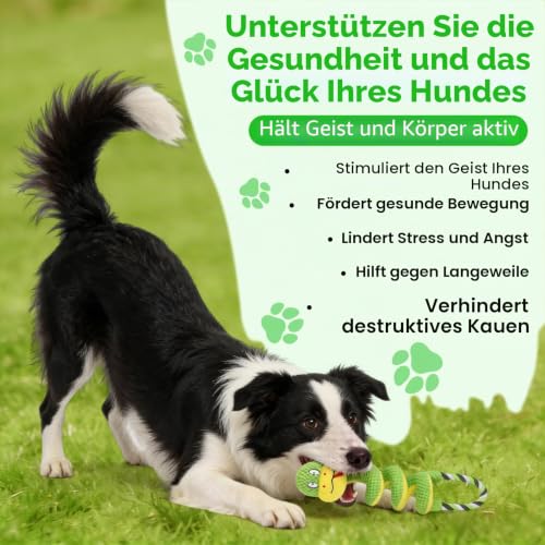 Hundespielzeug Plüsch Spiralenschlange mit Knitterpapier und Zugseil, Spielzeug Hund als Kuscheltier für Hunde, Welpenspielzeug für Apportieren & Zerrspiel, Dog Toys für Welpen, kleine, mittlere Hunde