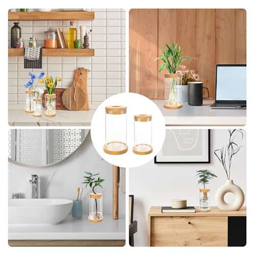 8 Pcs Plant Terrarium Desktop Glass Planter Plant Propagation Tabletop Propagation Vase Containers with Cork and Wooden Saucer for Growing Hydroponic Plants Garden Home Office Decor- - Image 6