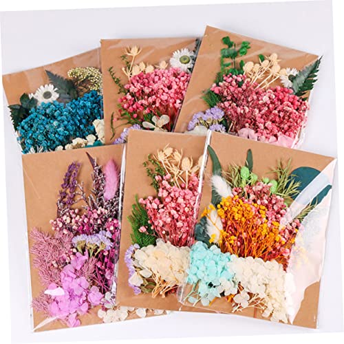 Flores secas decorativas para manualidades DIY miniatura 3