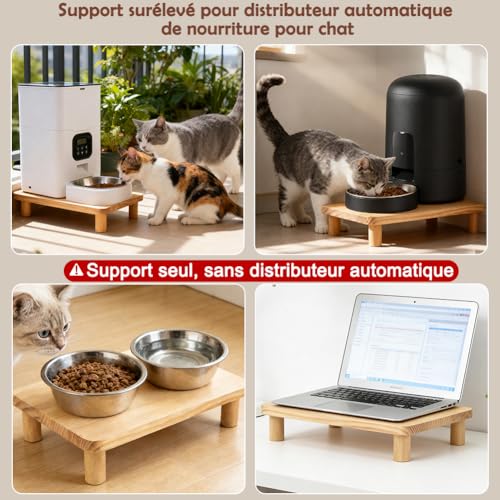 Support pour gamelle chat automatique dans un intérieur moderne - 6