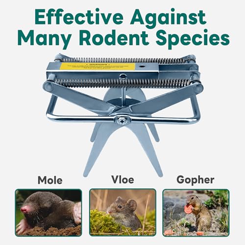 2 Pack Mole Traps,Galvanized Steel Scissor Trap,Reusable Mole Trap Killer,Easy Set Mole Eliminator Trap for Lawns