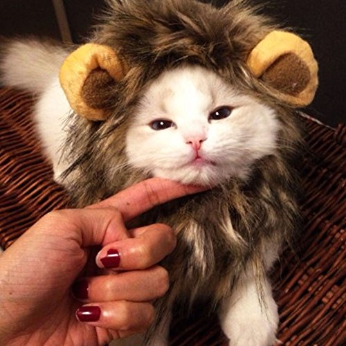 Pet Costume Lion Mane Wig For Dog Cat Halloween Dress Up With Ears (Dark Brown) #TOP2
