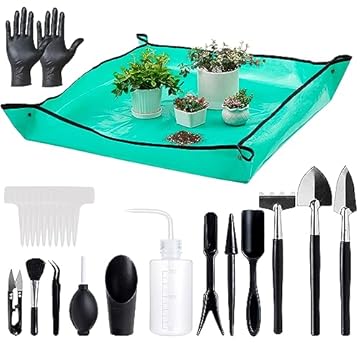 Essential Indoor Plant Tools Kit with Stand You Didn't Know You Needed 3 indoor plant tools kit with stand
