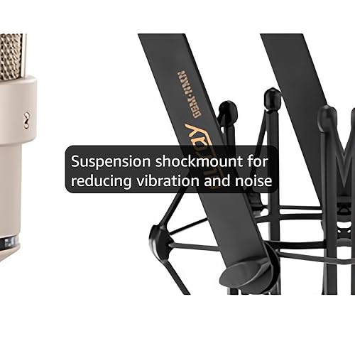 Amazon.com: Neumann TLM 103 Large Diaphragm Condenser Microphone