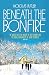 Beneath the Bonfire