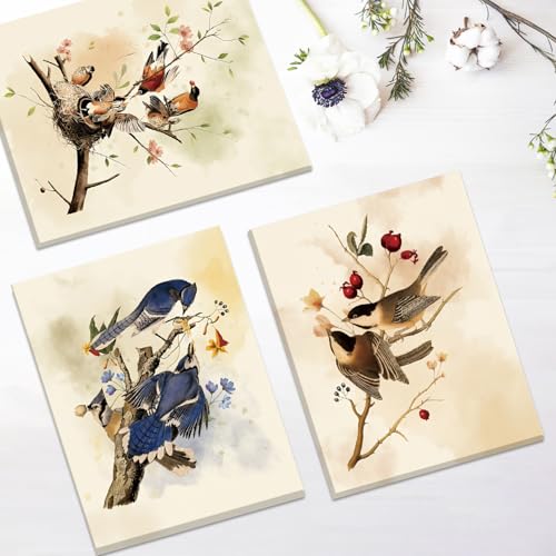 Image of CHDITB Vintage Bird Framed Canvas Wall Art, Spring Birds Illustration, Nature Wildlife Wall Decor, Botanical Bird Poster, Retro Watercolor Art Prints For Living Room Bedroom Kitchen Decor 8 inchX10 inchx6