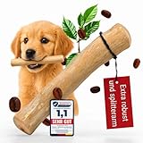 Heygret Kauknochen aus Kaffeeholz für Welpen XS – Natürliches Kauspielzeug zur Zahnpflege & Stressabbau – Langanhaltende Beschäftigung mit nachhaltigem Kauholz - Kaustab