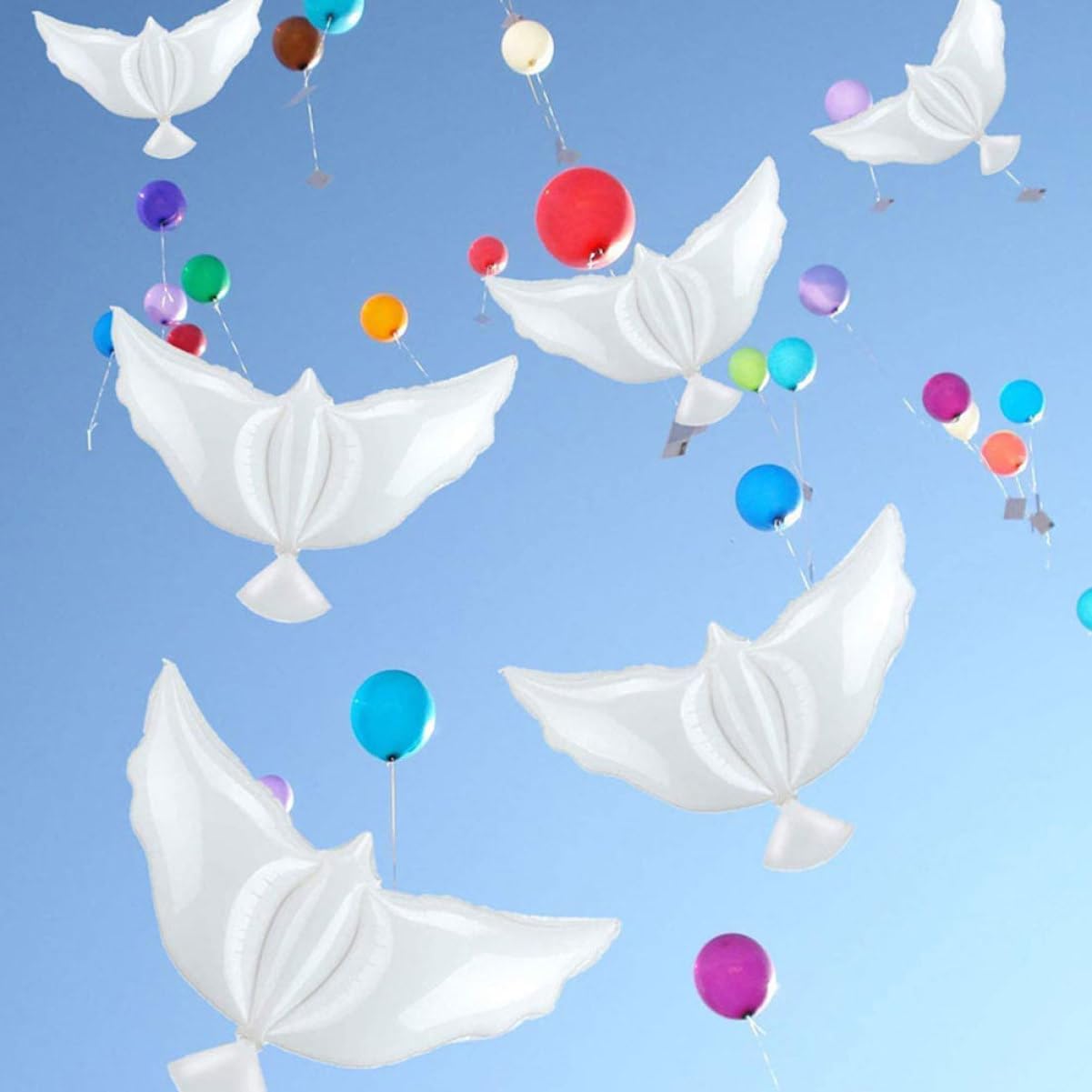 PRETYZOOM 3 Juegos Globos Conmemorativos Bomba De Globo Accesorios Decorativos Para Fiestas Wedding Decoration Decoración Fiesta Globos De Jardin Decoración De 8 Uds * 3