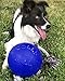 Jolly Pets Romp-n-Roll Rope and Ball Dog Toy, 8 Inches/Large, Blue, Model:608 BL