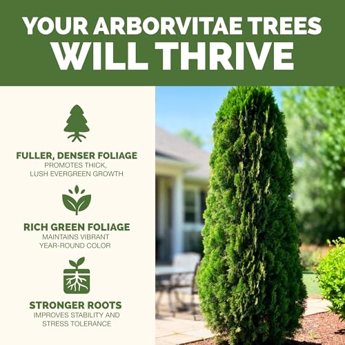 Arborvitae Liquid Fertilizer 1 Gal