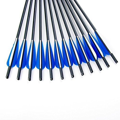 Gpp Hunting Archery Carbon Arrow 20" Crossbow Bolts Arrow With 4" Vanes And Replaced Arrowhead/Tip 12Pc #TOP3