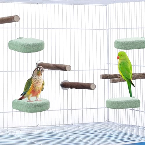 Image of Pet Teeth Grinding Stone and Perch, Bird Perch Stands, Natural Chewing Toys for Small Medium Birds Budgies Conures Cockatiels Rats (4 Colores, Small)