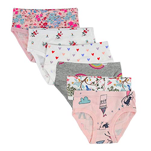 Closecret Kids Underwear Soft Cotton Toddler Panties Little Girls' Assorted Briefs (Style 6, 3-4 Years)